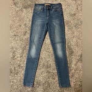Joe's Jeans Women's Skinny Jeans in Blue